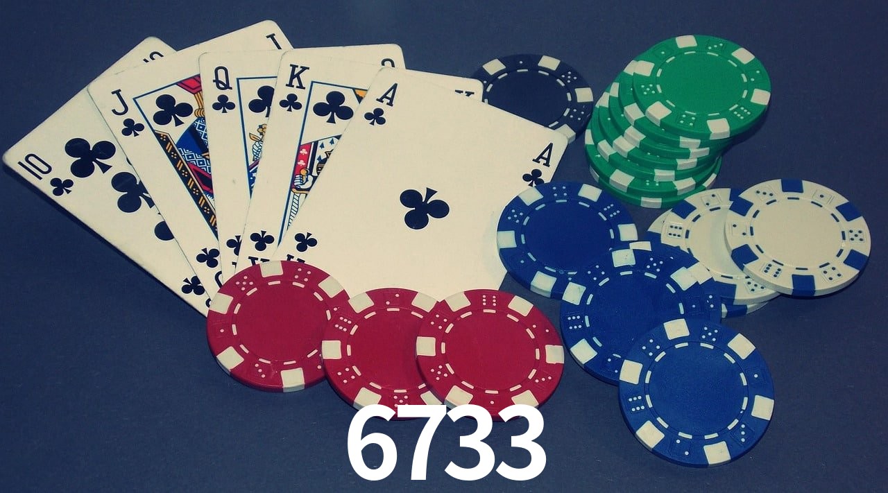 Experiência VIP 6733
