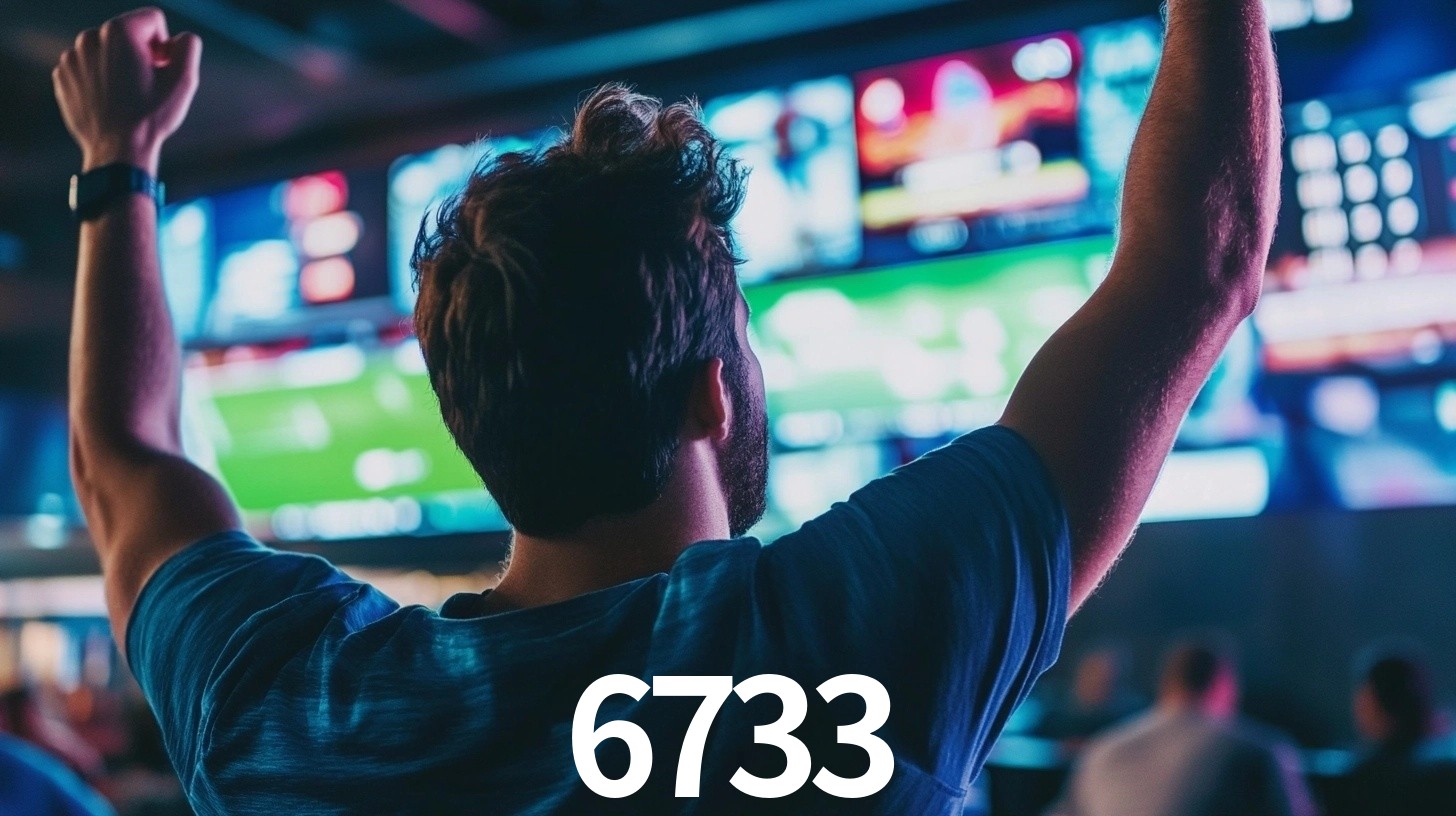 6733.com